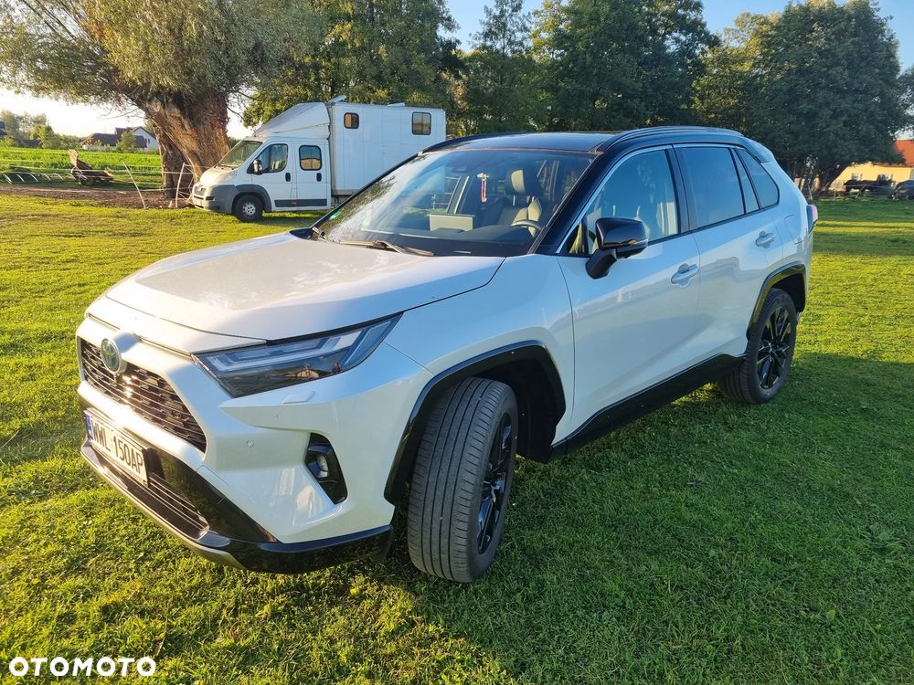 Toyota RAV4 2.5 Hybrid Selection 4x2 - 16
