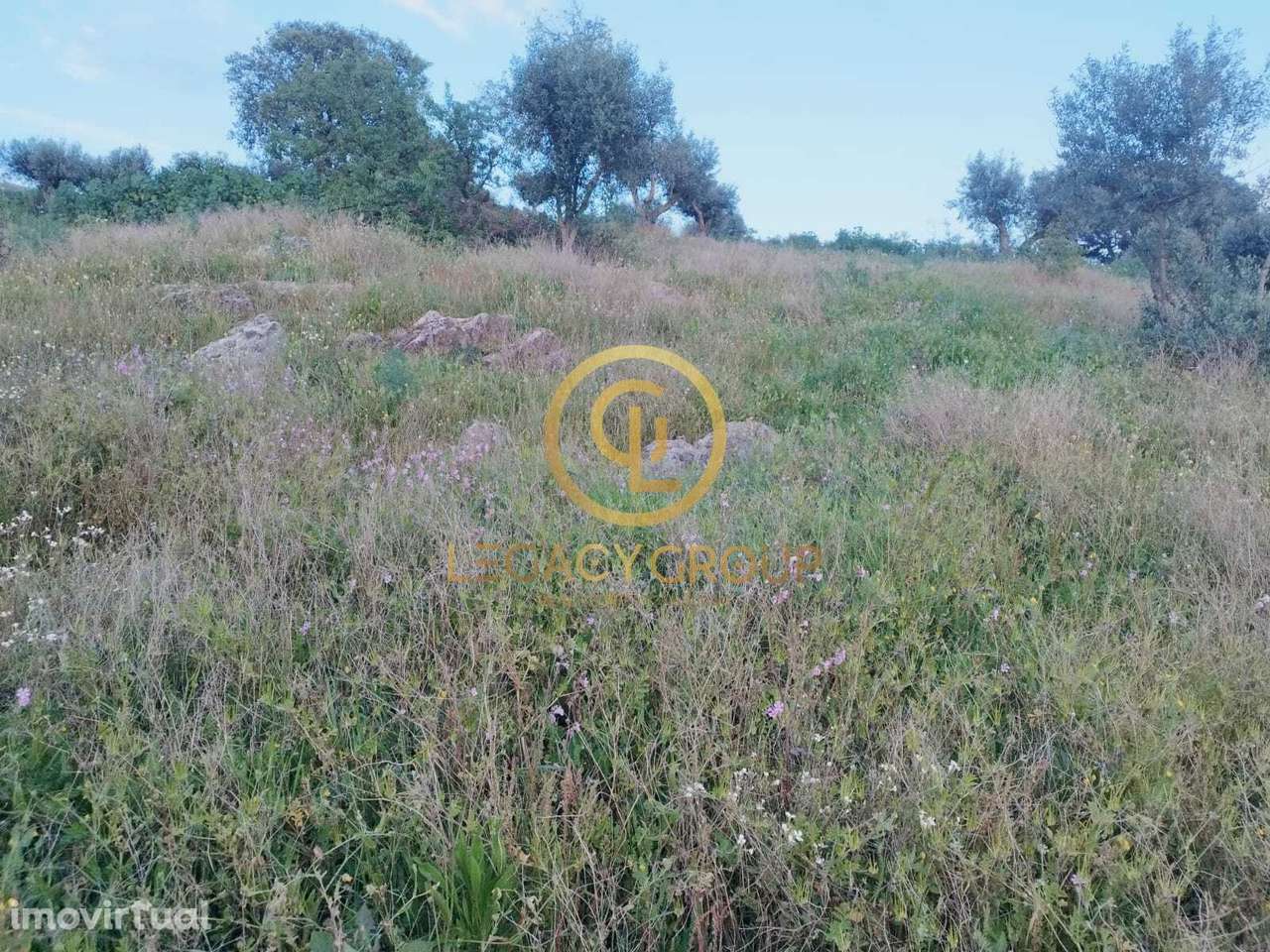 TERRENO DE 46.626m2 EM REDONDO - Grande imagem: 2/50