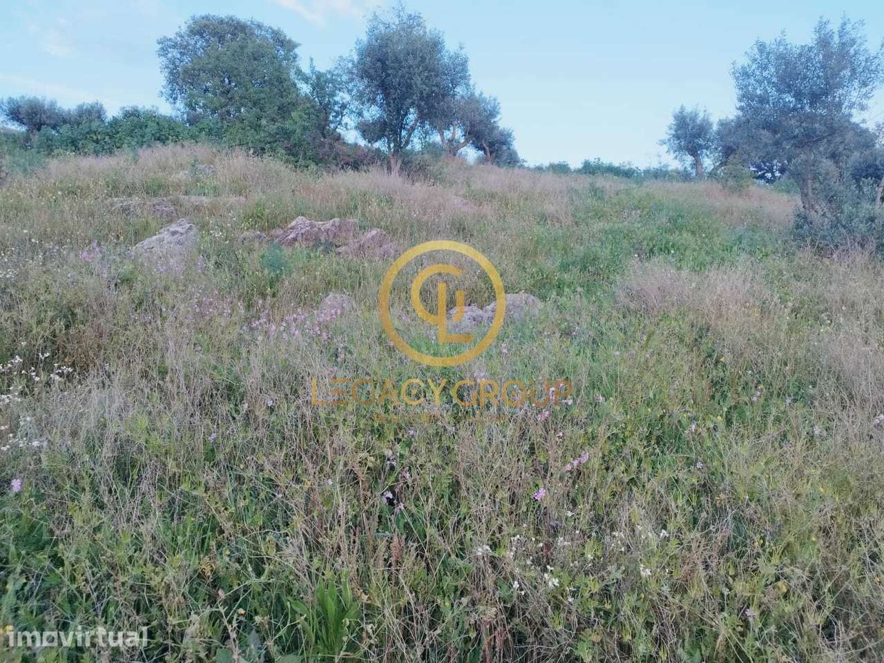 TERRENO DE 46.626m2 EM REDONDO - Grande imagem: 2/50