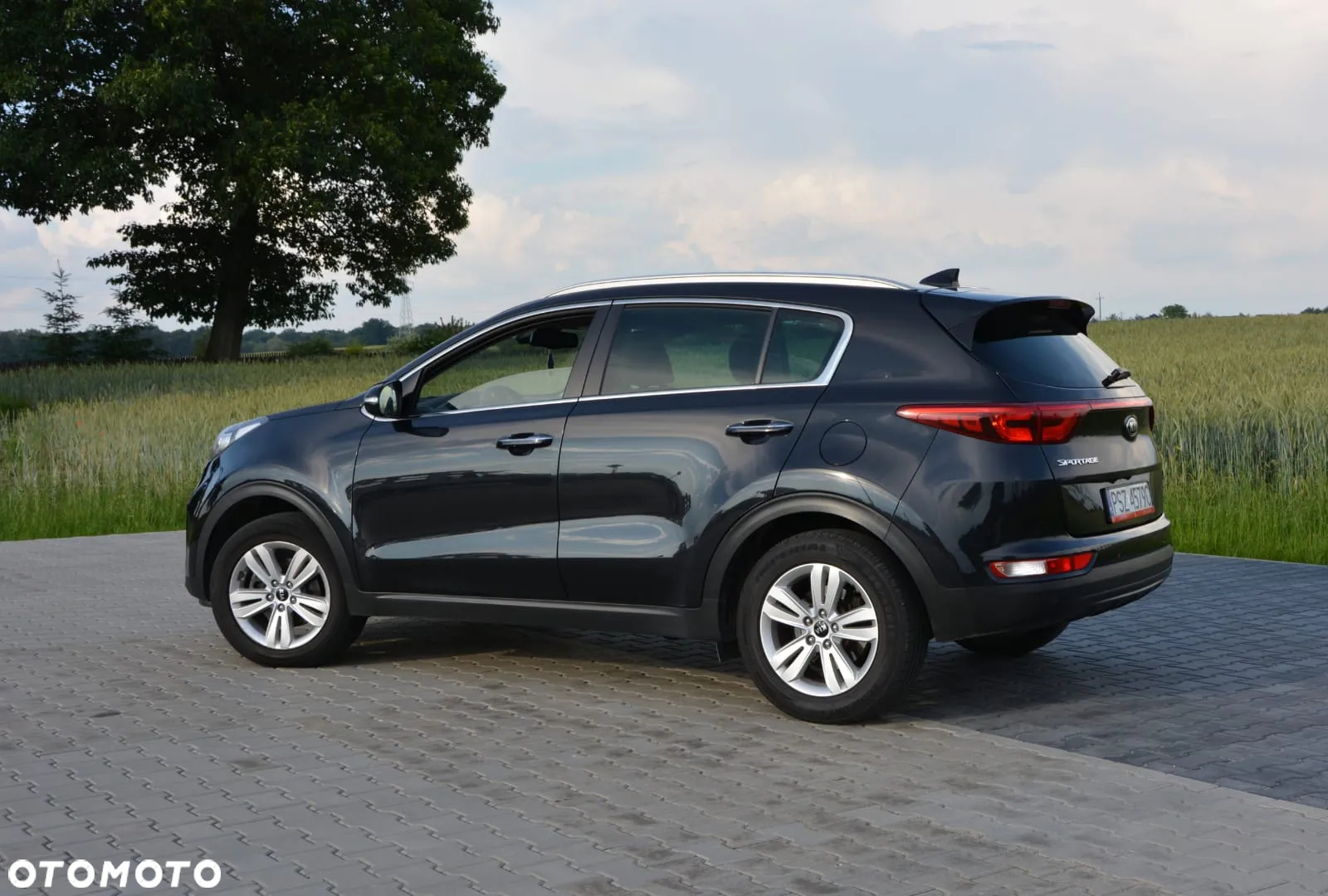 Kia Sportage - 8