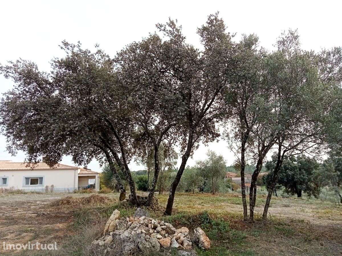 Terreno, 10 200 m², Achete, Azoia de Baixo e Póvoa de Santarém - Grande imagem: 4/7