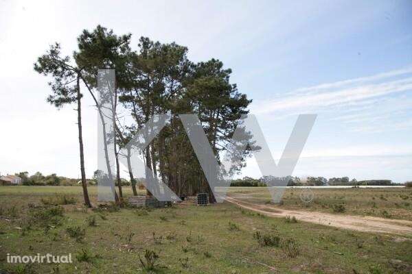 Seisseira - Grande imagem: 4/7