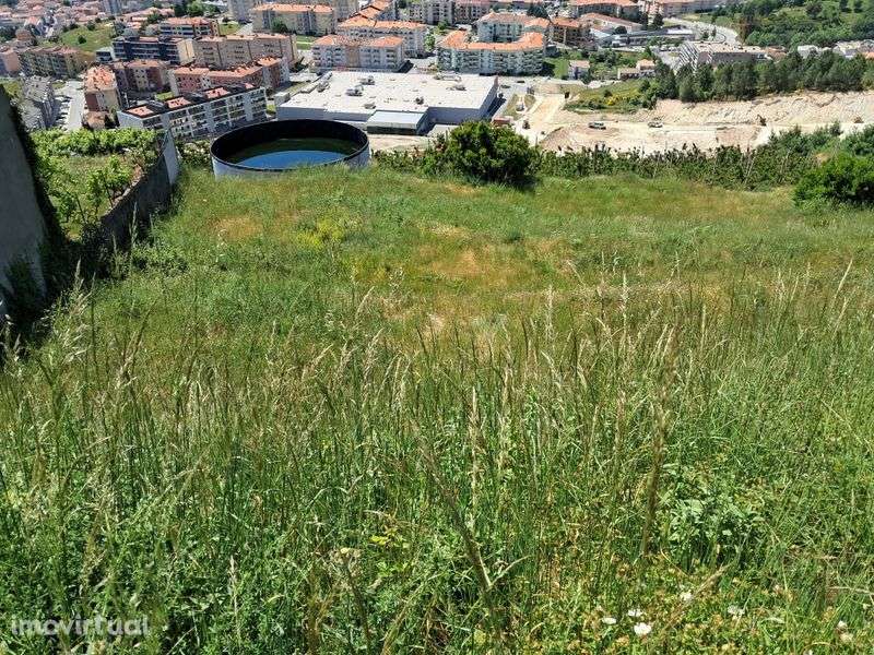 Terreno Serra das Meadas - Lamego - Grande imagem: 2/7