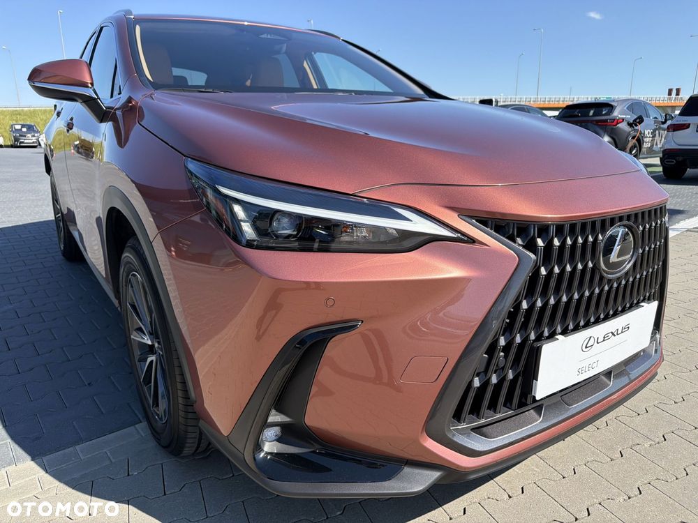 Lexus NX 350h Prestige AWD - 29