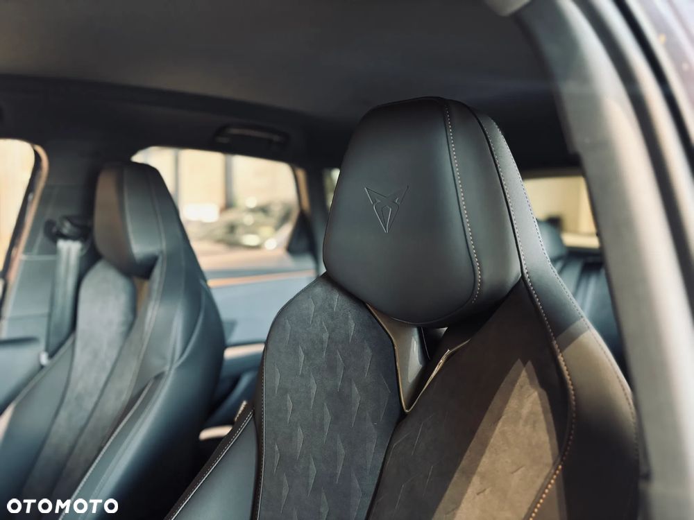 Cupra Terramar 2.0 TSI 4Drive DSG - 16