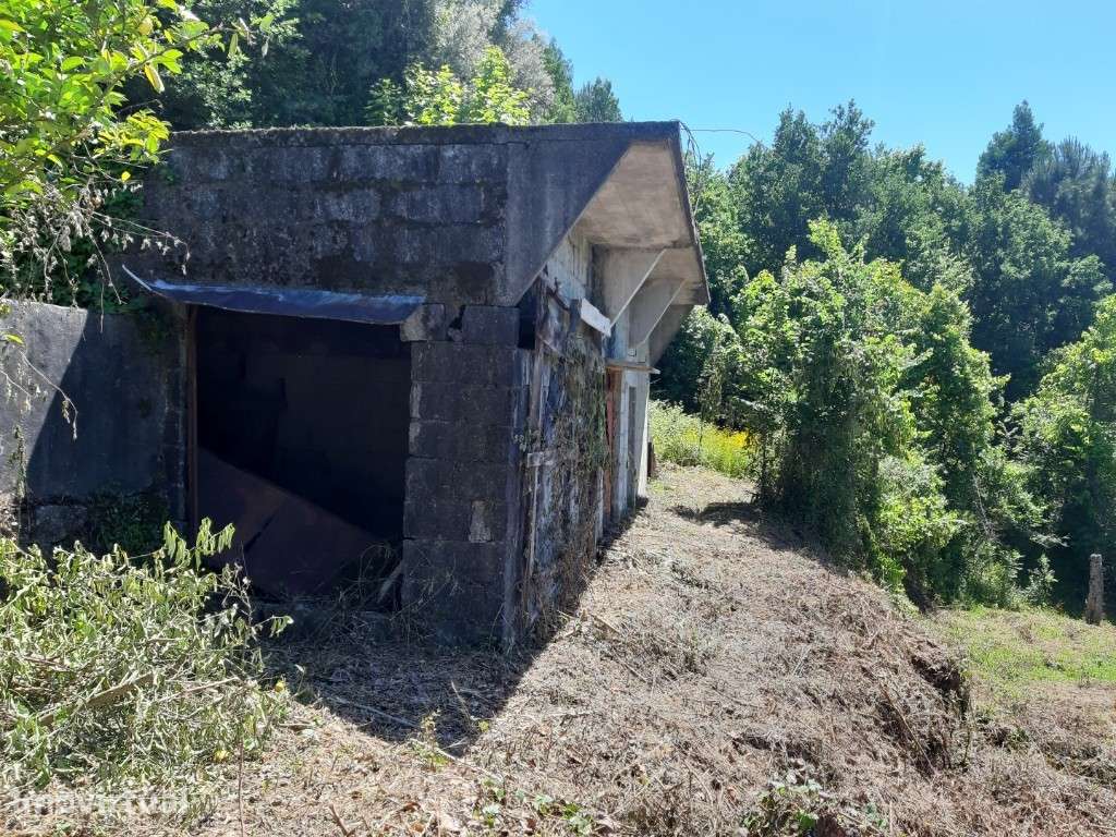 Terreno Agrícola - Bouro Sta Maria - Grande imagem: 2/10