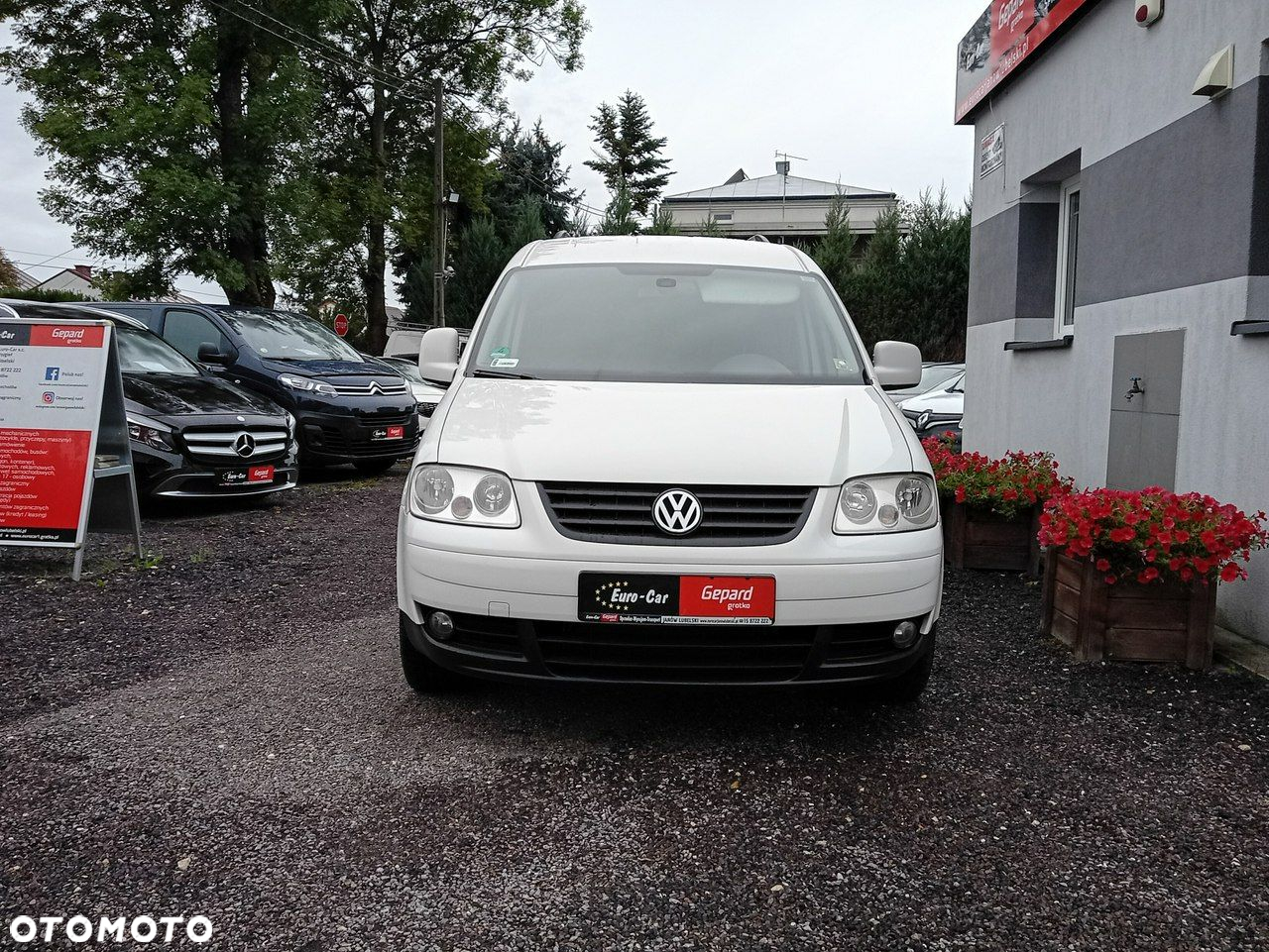 Volkswagen Caddy 1.9 TDI Maxi Life (7-Si.) - 2