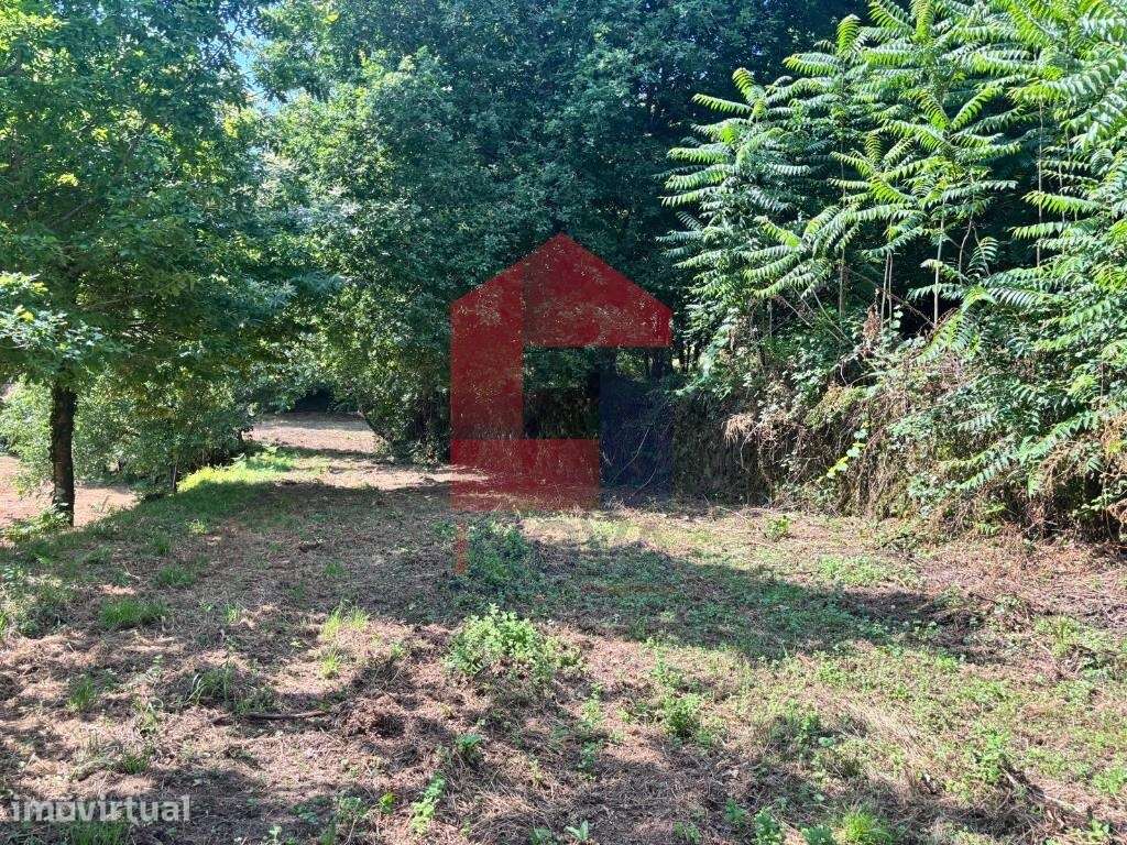 Terreno agrícola, Parada de Gatim - Grande imagem: 4/43