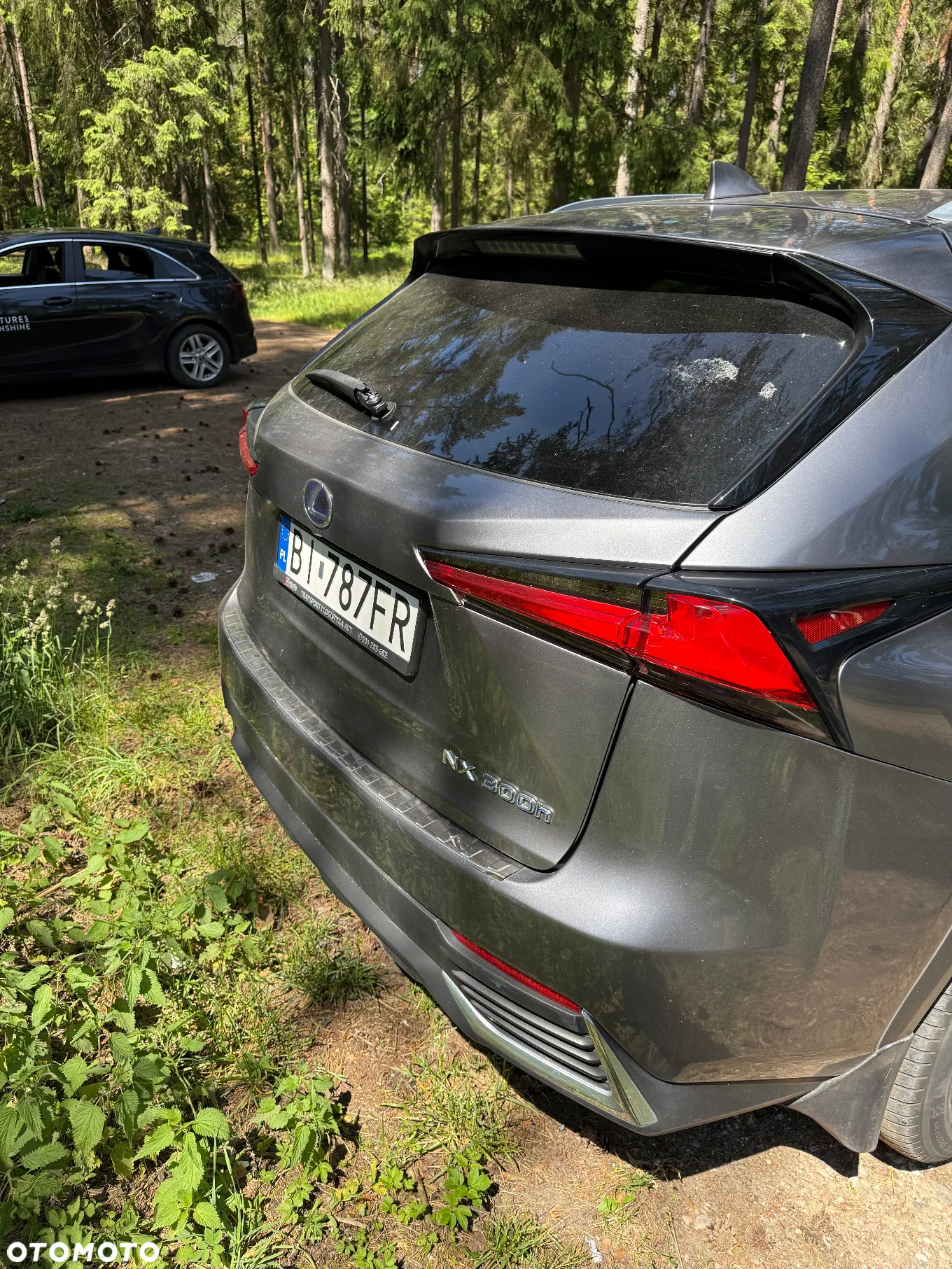 Lexus NX - 13