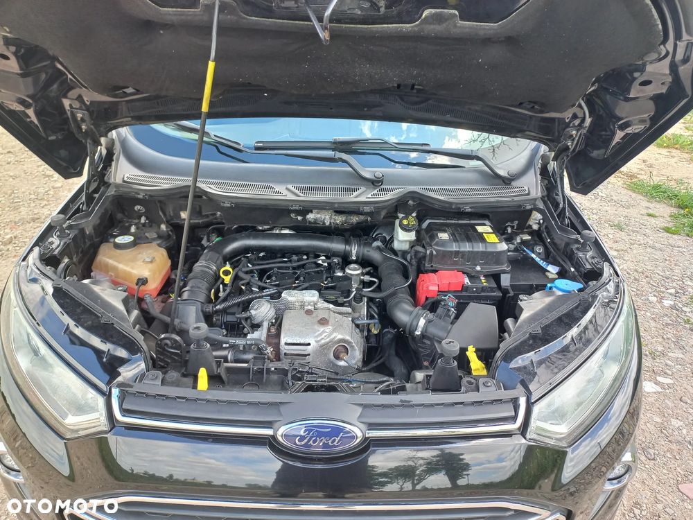 Ford EcoSport - 13