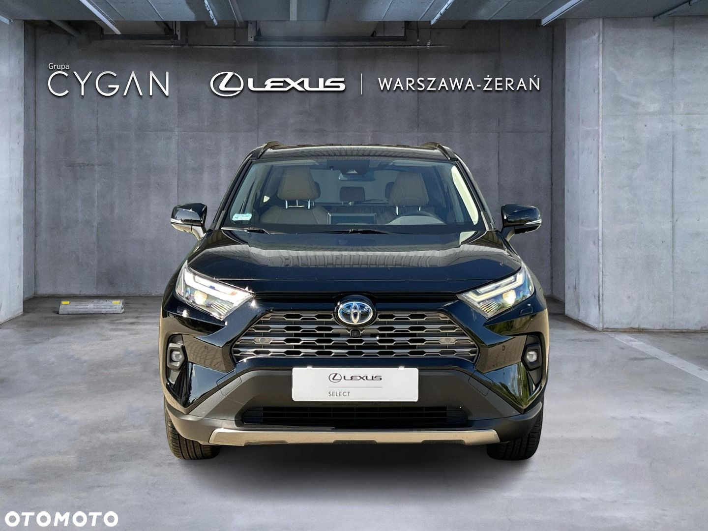 Toyota RAV4 - 10