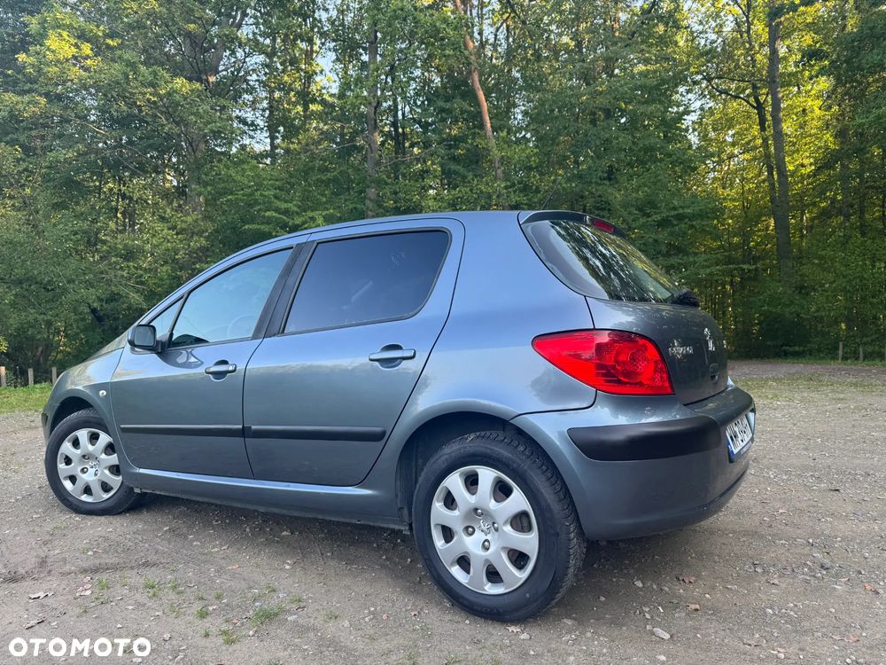 Peugeot 307 - 4