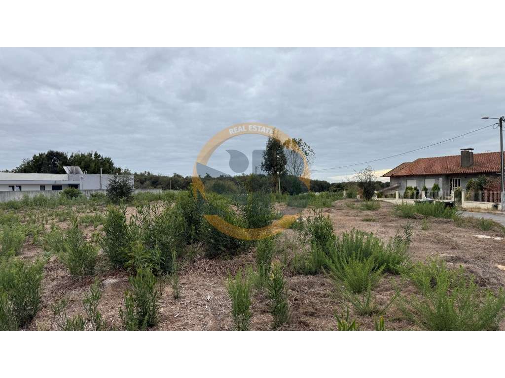 Terreno Ovar Construção Moradias - Grande imagem: 5/7