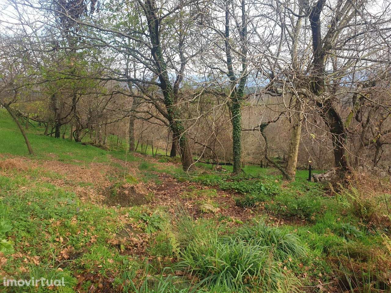 Propriedade na Aldeia de Asnela – Oportunidade Única para Turismo ou A - Grande imagem: 4/21