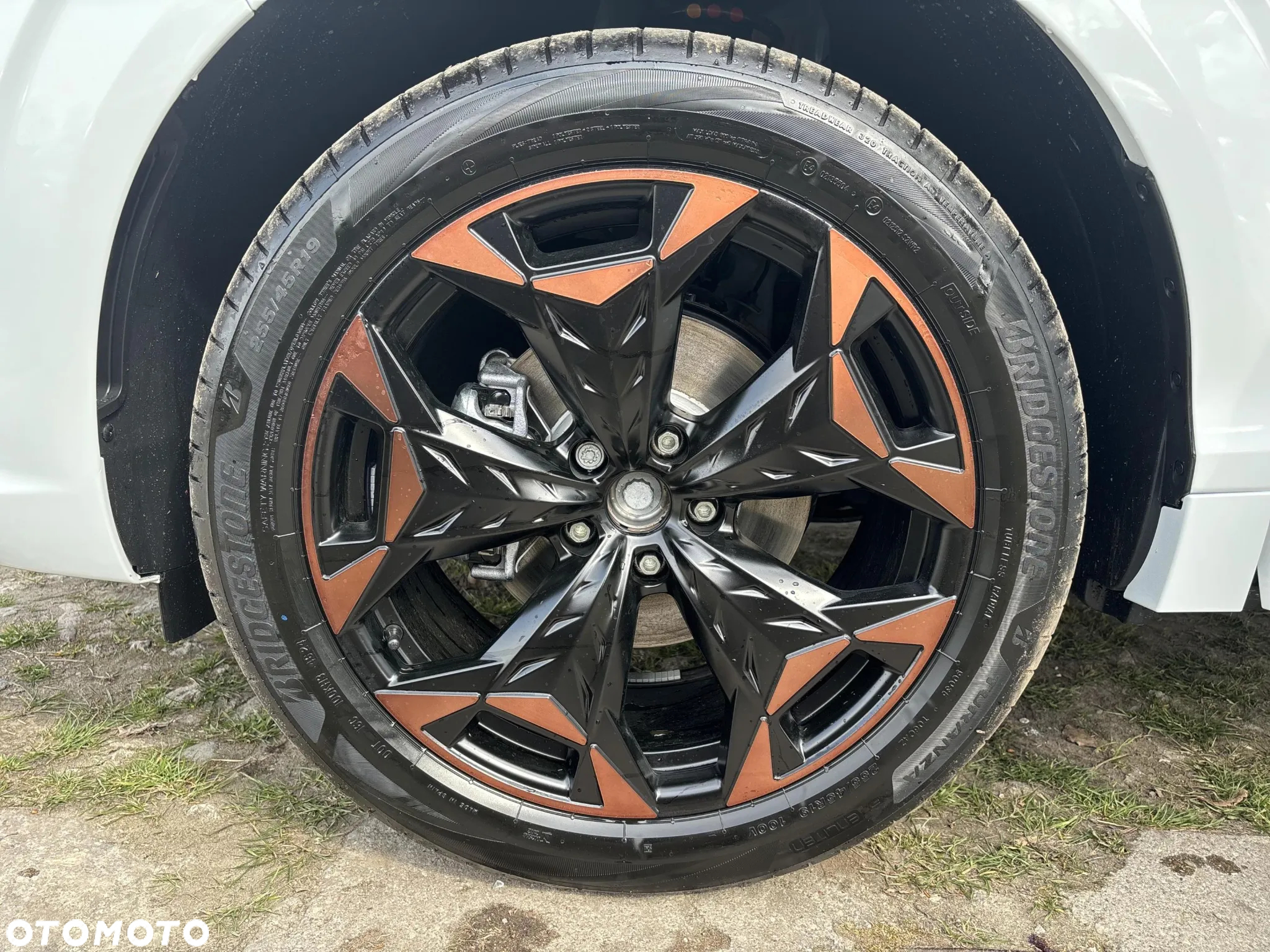 Cupra Terramar - 11