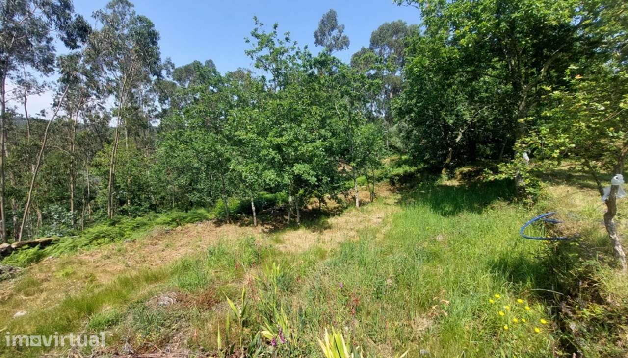 Venda de terreno para construção, Vila de Punhe, Viana do Castelo - Grande imagem: 3/30