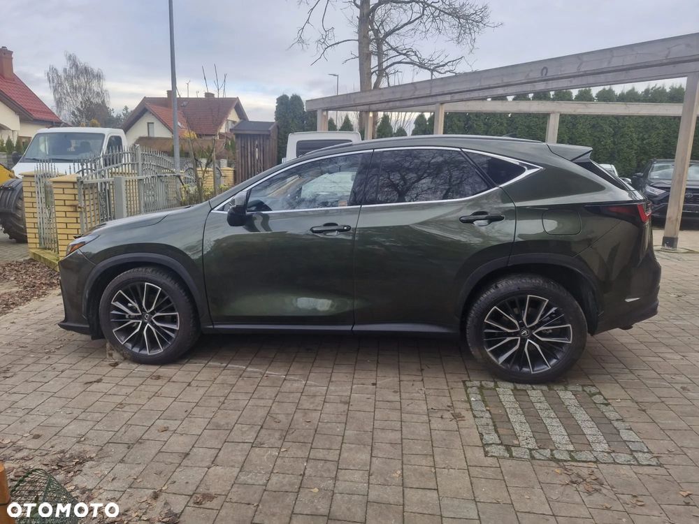 Lexus NX 350h Omotenashi AWD - 18
