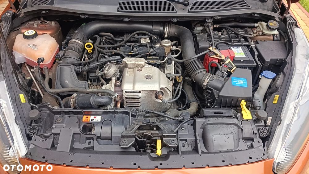 Ford Fiesta - 24