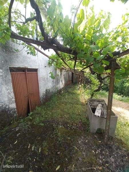 Casa antiga  geminada em plenas minas tuela - Grande imagem: 2/5