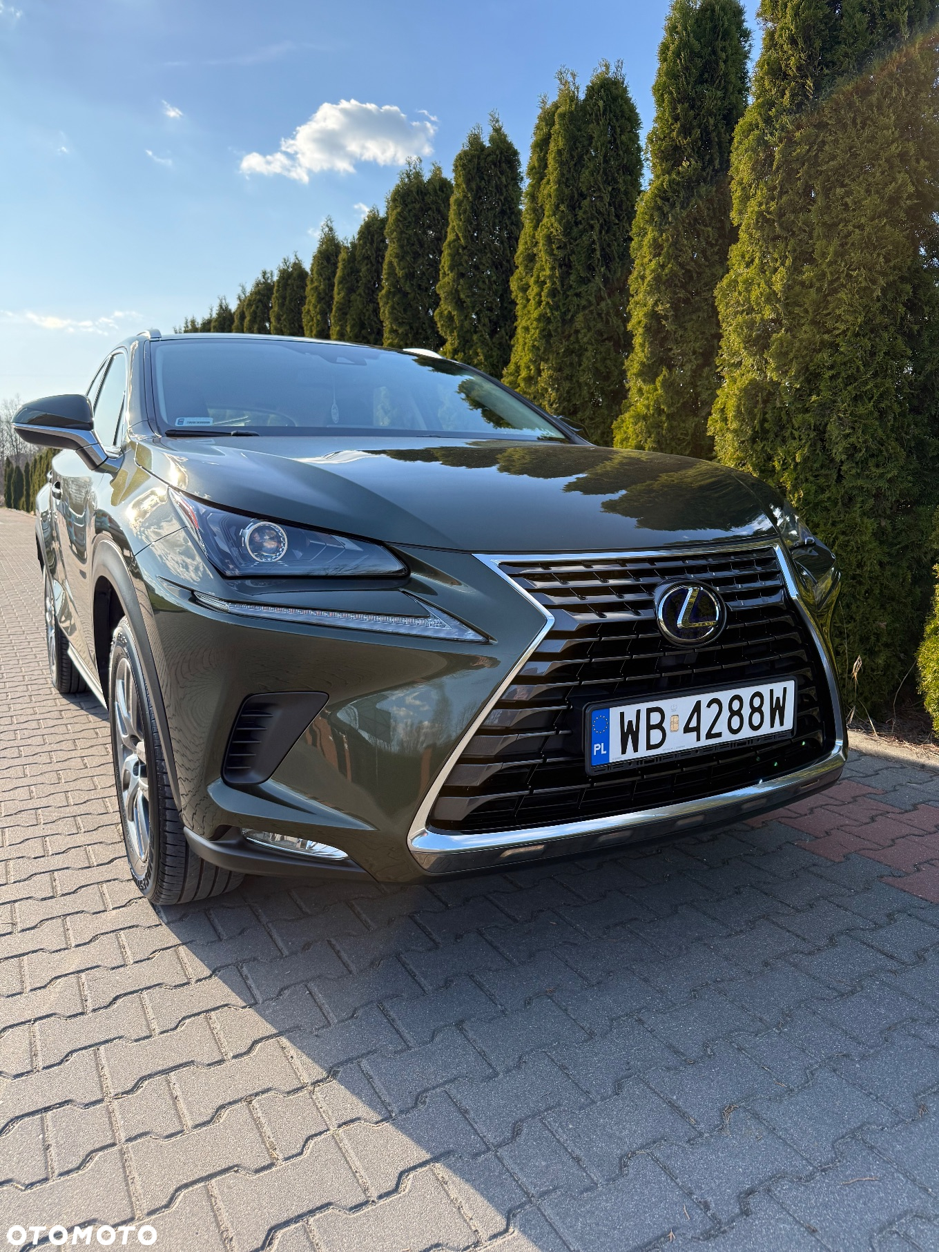 Lexus NX - 4