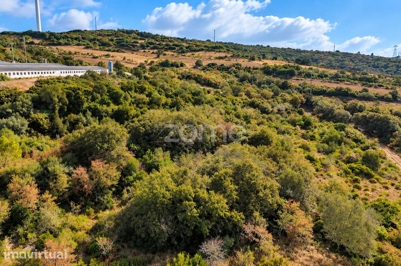 Terreno Rústico com 11.680 m² em Arranhó | Arruda dos Vinhos - Grande imagem: 5/16