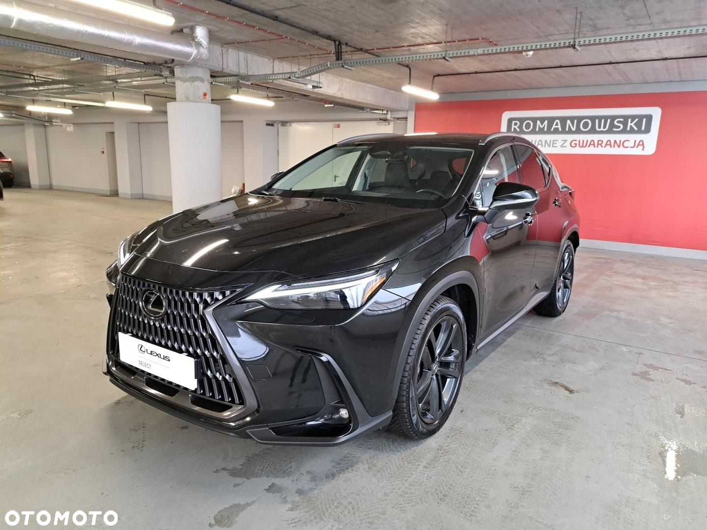 Lexus NX - 31