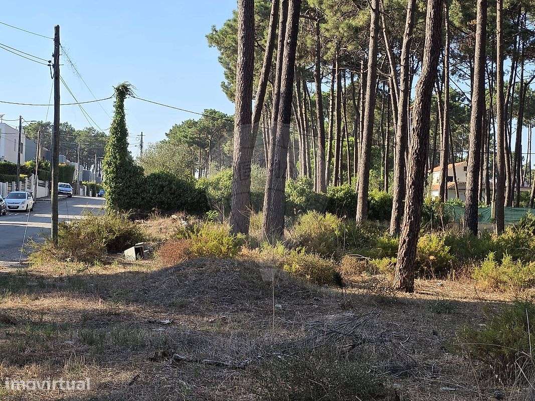Terreno  para venda - Grande imagem: 5/33