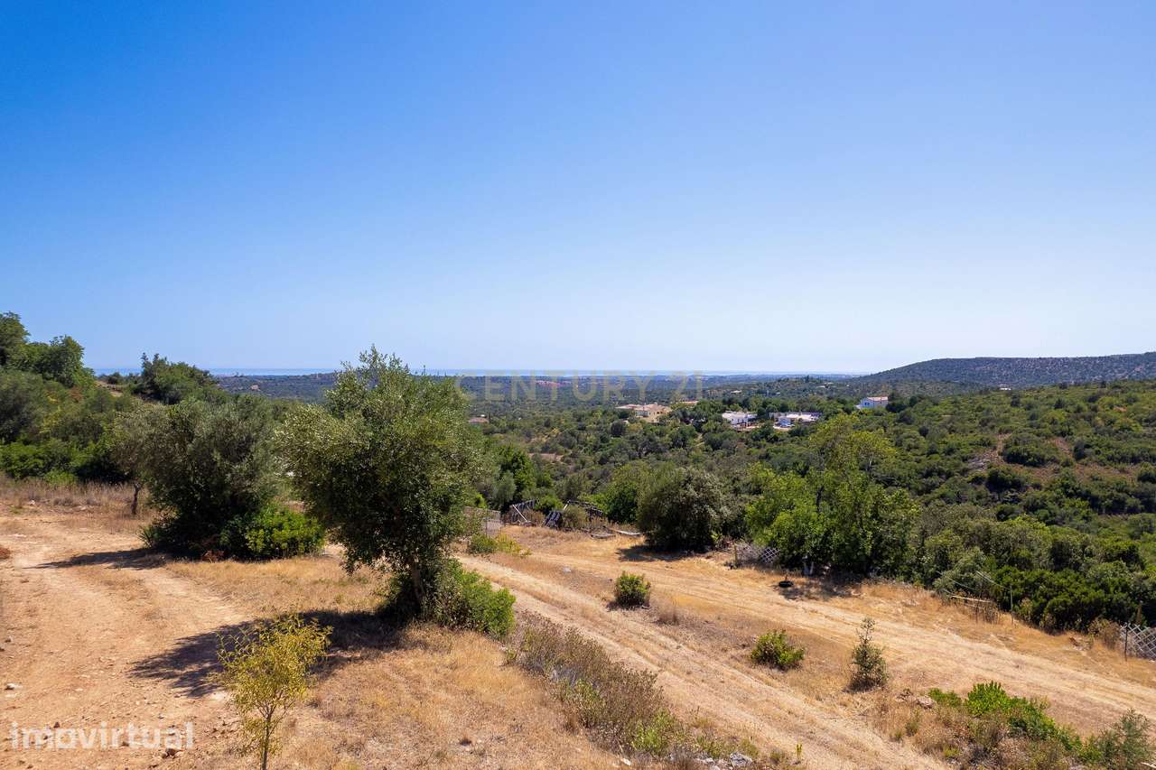 Terreno Rústico com 3.860 m² | Vista Mar | A 5 Minutos de Loulé - Grande imagem: 3/6