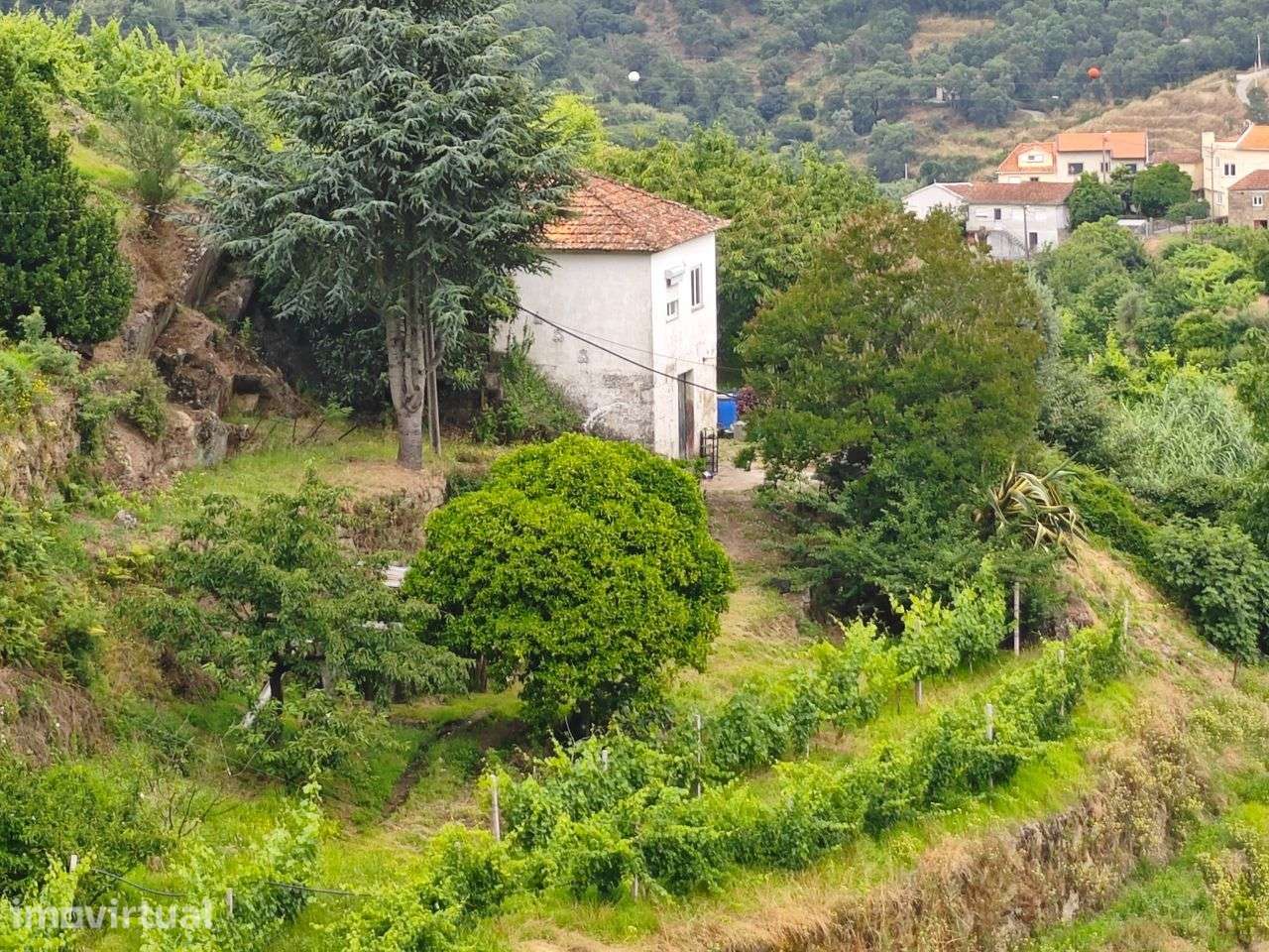 Quinta à venda em Resende, Viseu - Grande imagem: 2/17
