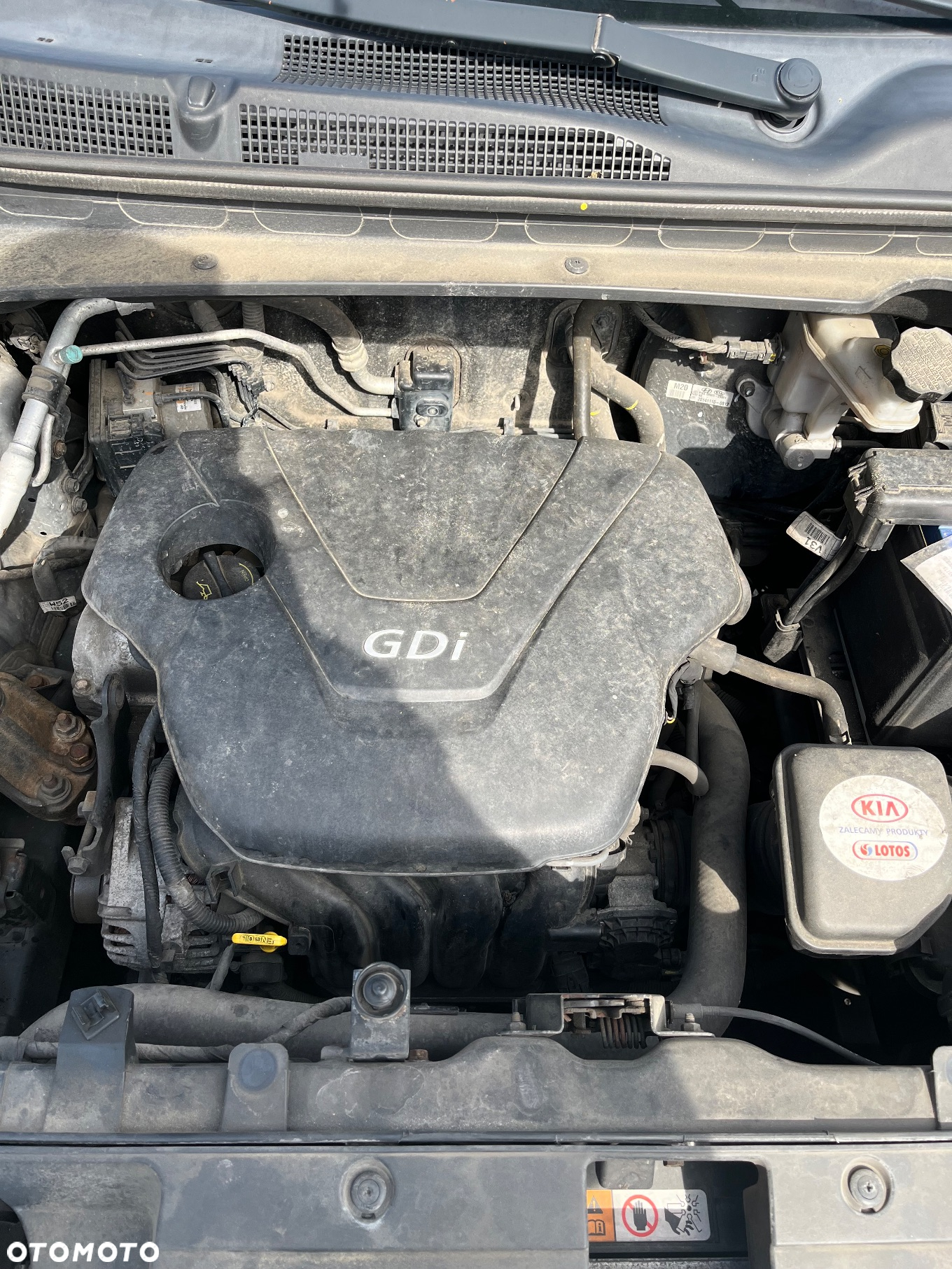 Kia Sportage - 22