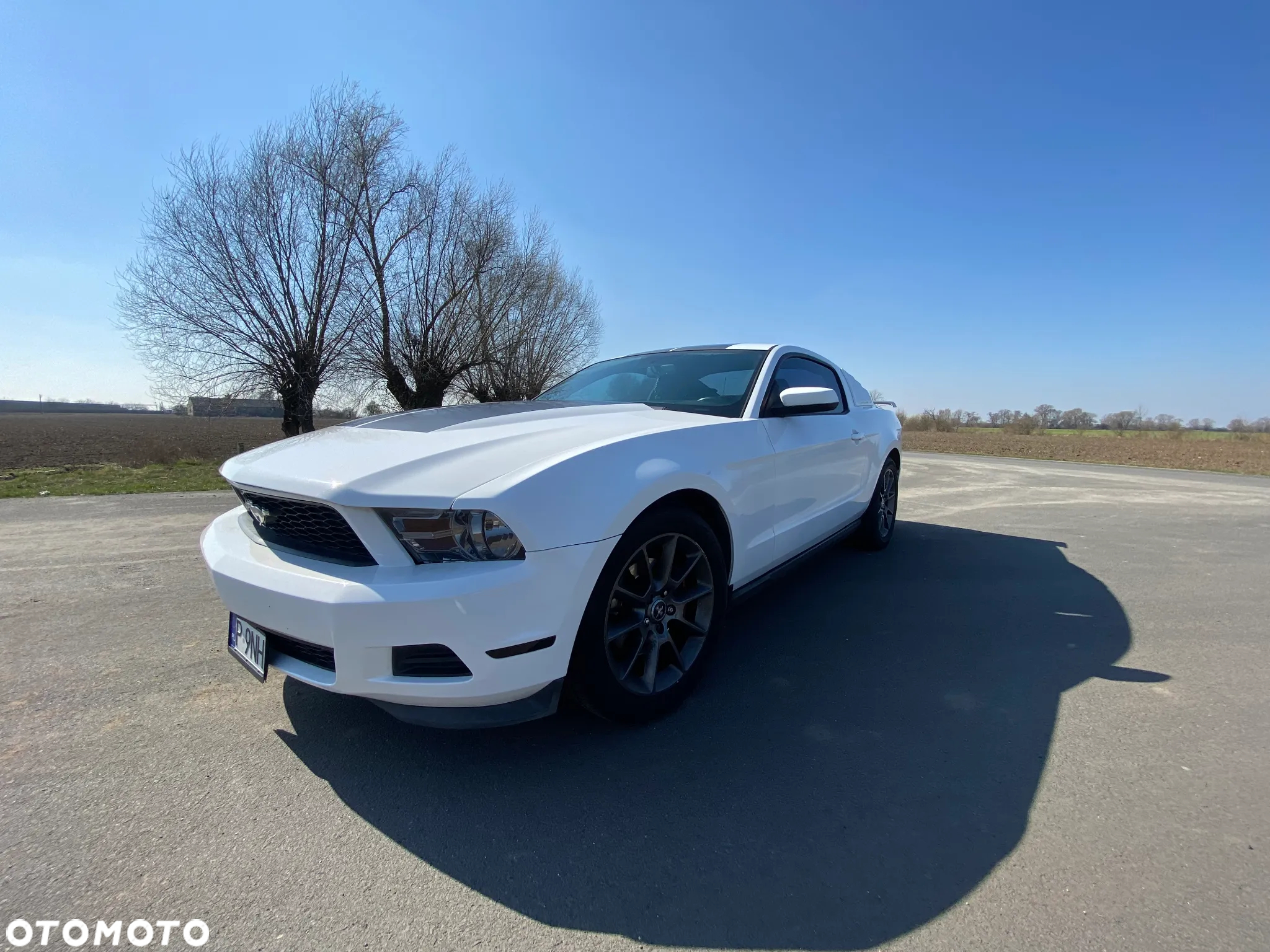 Ford Mustang 3.7 V6 Premium - 2
