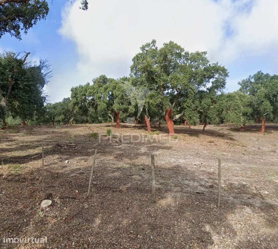 Terreno 1.400 m² com Projeto Aprovado para 2 Moradias T2 | Setúbal - Grande imagem: 2/4