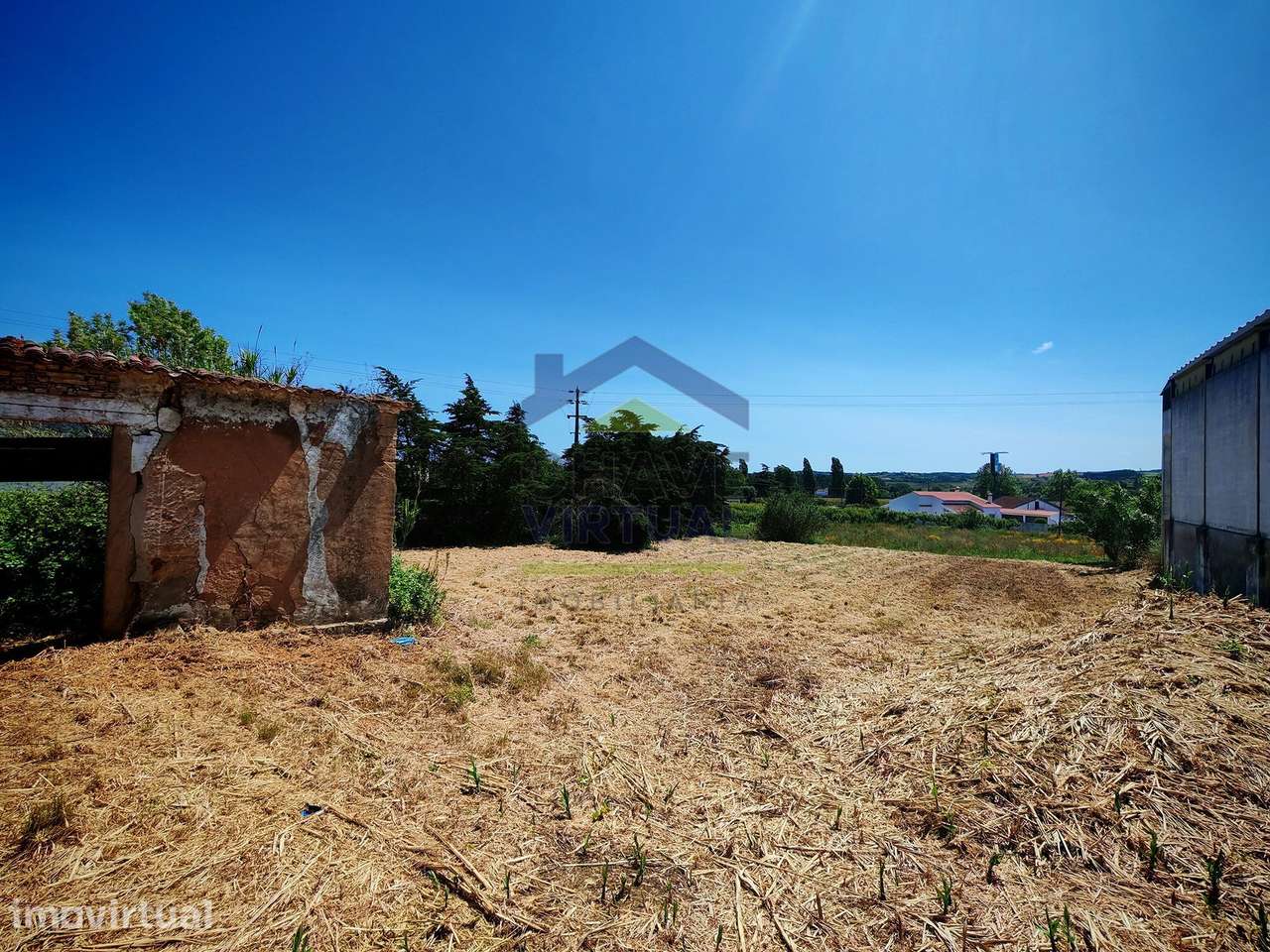 Terreno para Construção Delgada - Bombarral - Grande imagem: 4/21