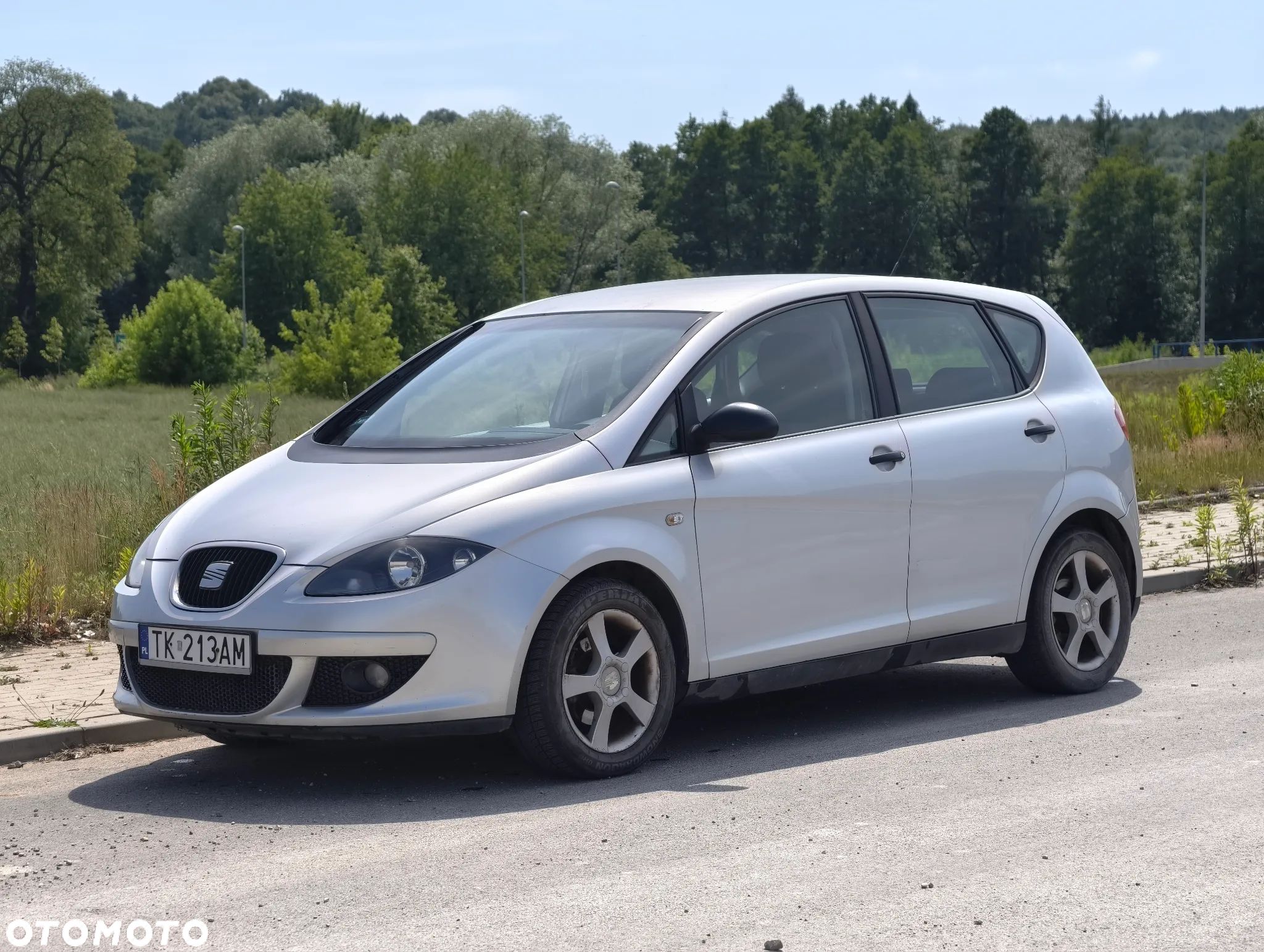Seat Altea - 1