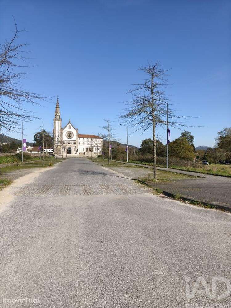 Terreno Agrícola em Barroselas e Carvoeiro - Grande imagem: 3/3