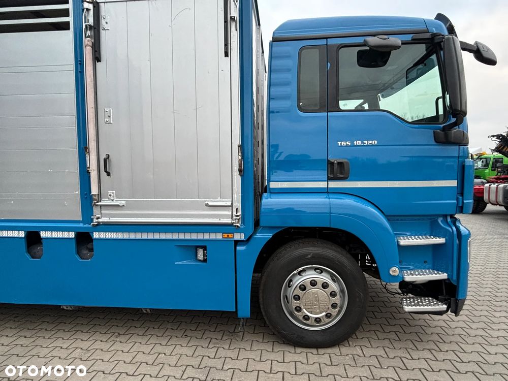 MAN TGS 18.320 2010 rok do przewozu zwierząt , do żywca, do bydła ,zabudowa FINKL z przegordami i wentylatorami , rampa hydrauliczna , z Niemiec - 7