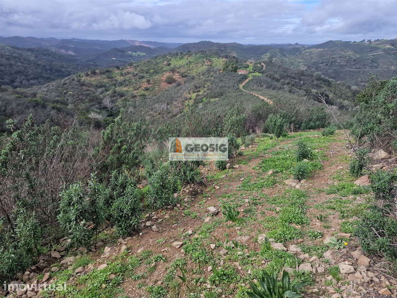 Terreno Rústico  Venda em Santana da Serra,Ourique - Grande imagem: 2/8