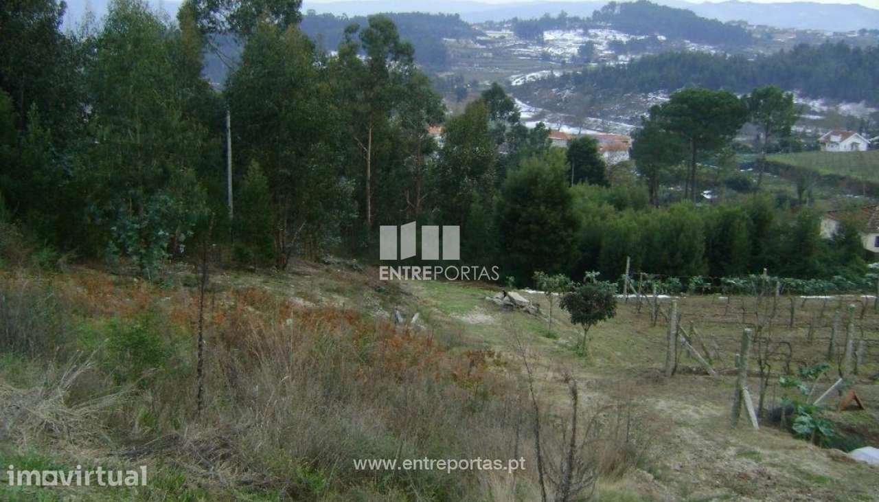 Venda Terreno, Vila Boa de Quires, Marco de Canaveses - Grande imagem: 2/6