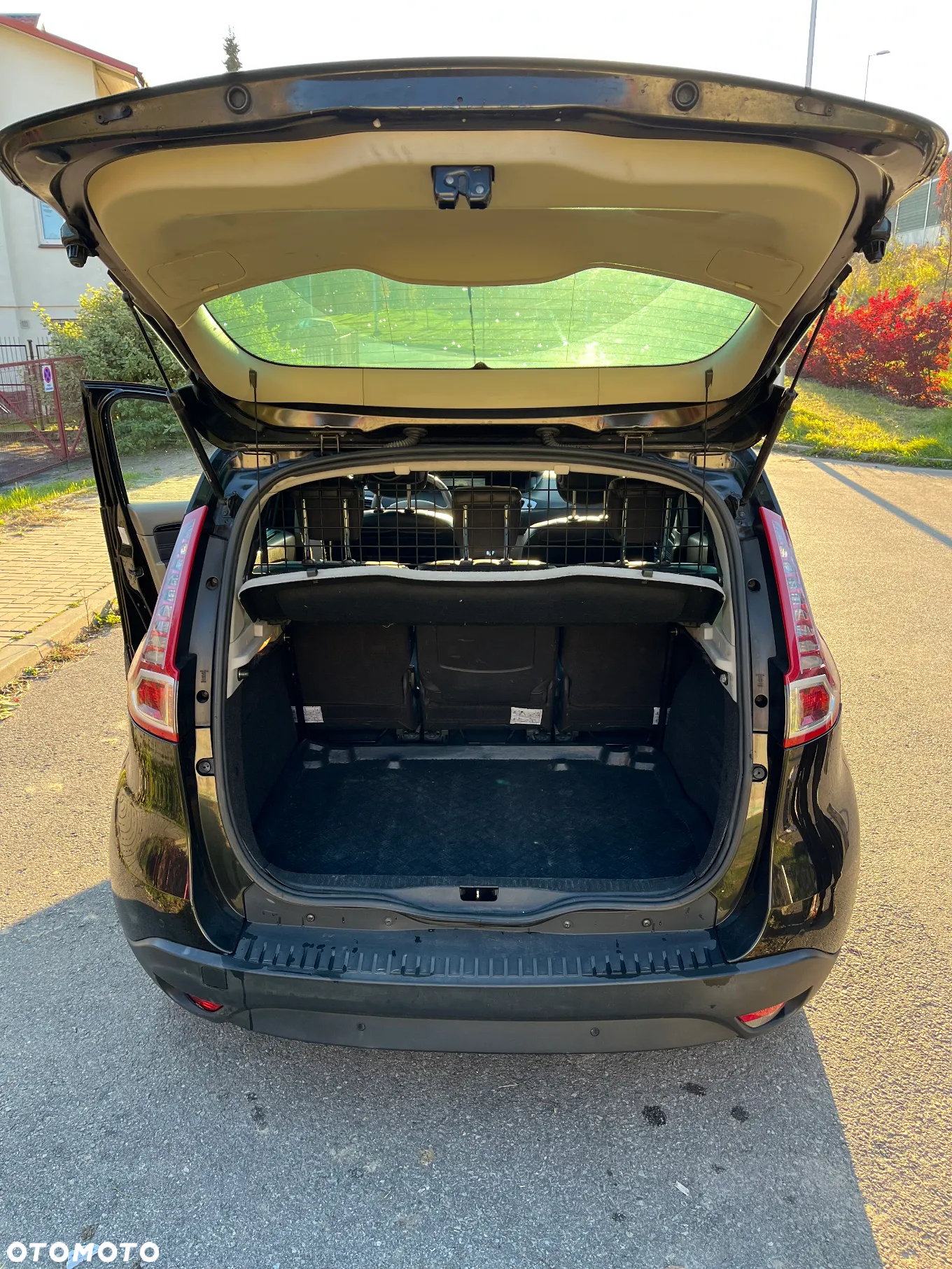 Renault Scenic - 10