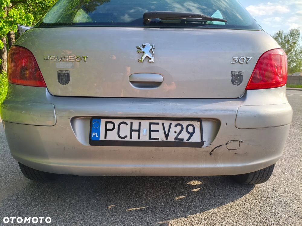 Peugeot 307 1.6 - 13