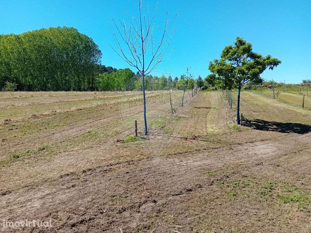 Terreno  para venda - Grande imagem: 2/21
