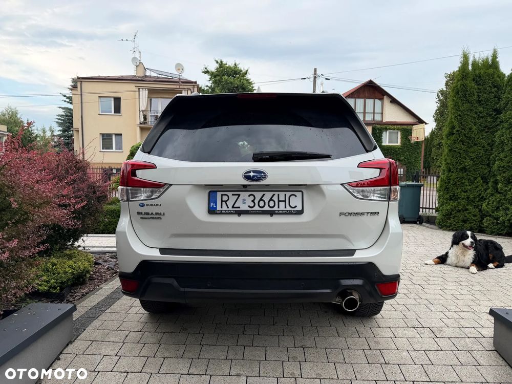 Subaru Forester - 6