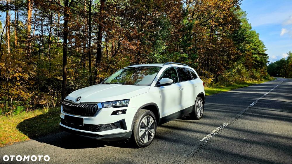 Skoda Karoq 2.0 TDI SCR 4x2 Sportline - 4