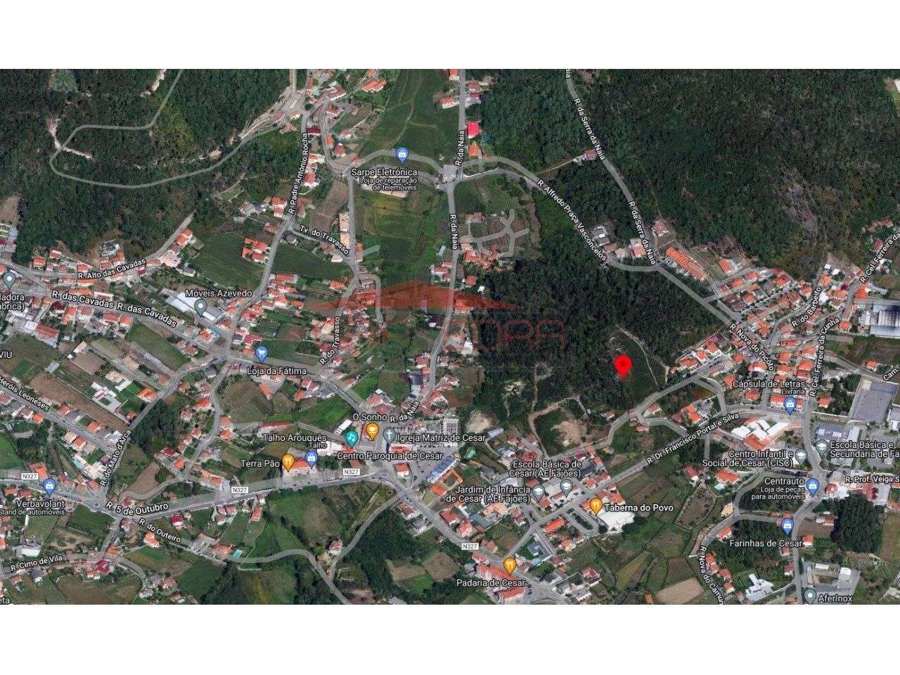 Terreno construção apartamentos entre Oliveira Azeméis e Vale Cambra - Grande imagem: 3/6