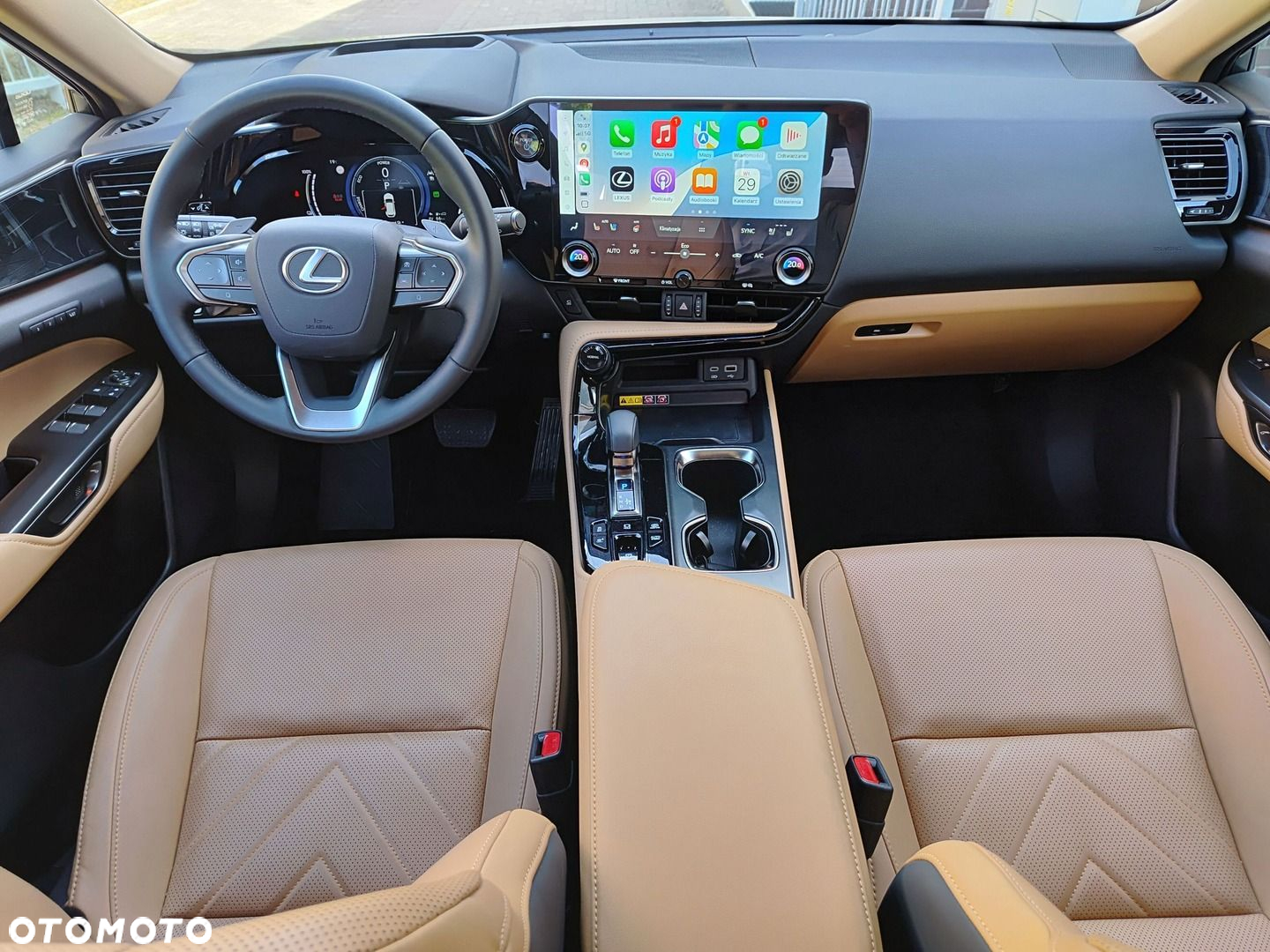 Lexus NX - 10