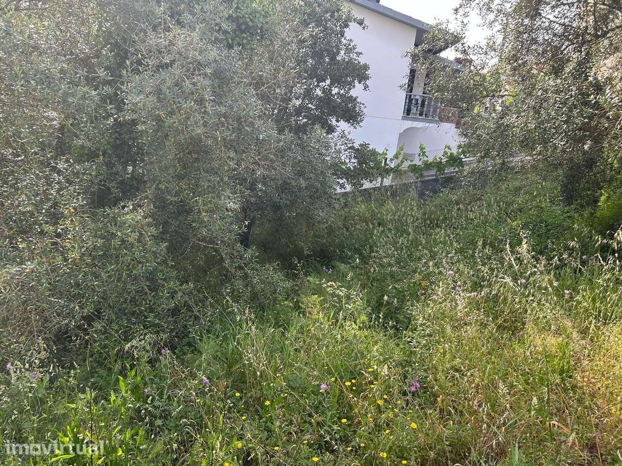 Terreno urbano em Soure - Encosta do Sol - Grande imagem: 3/10