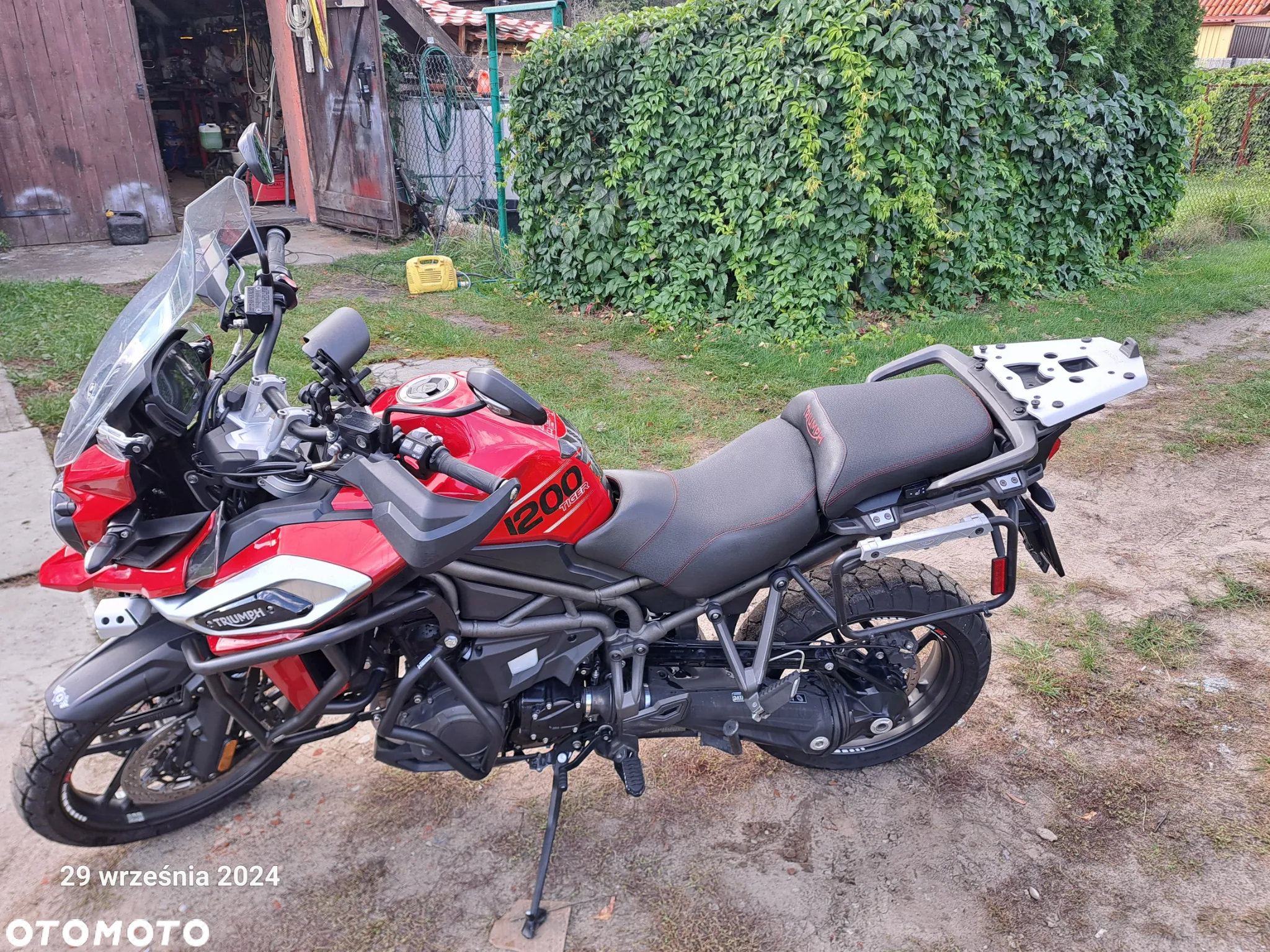 Triumph Tiger - 6