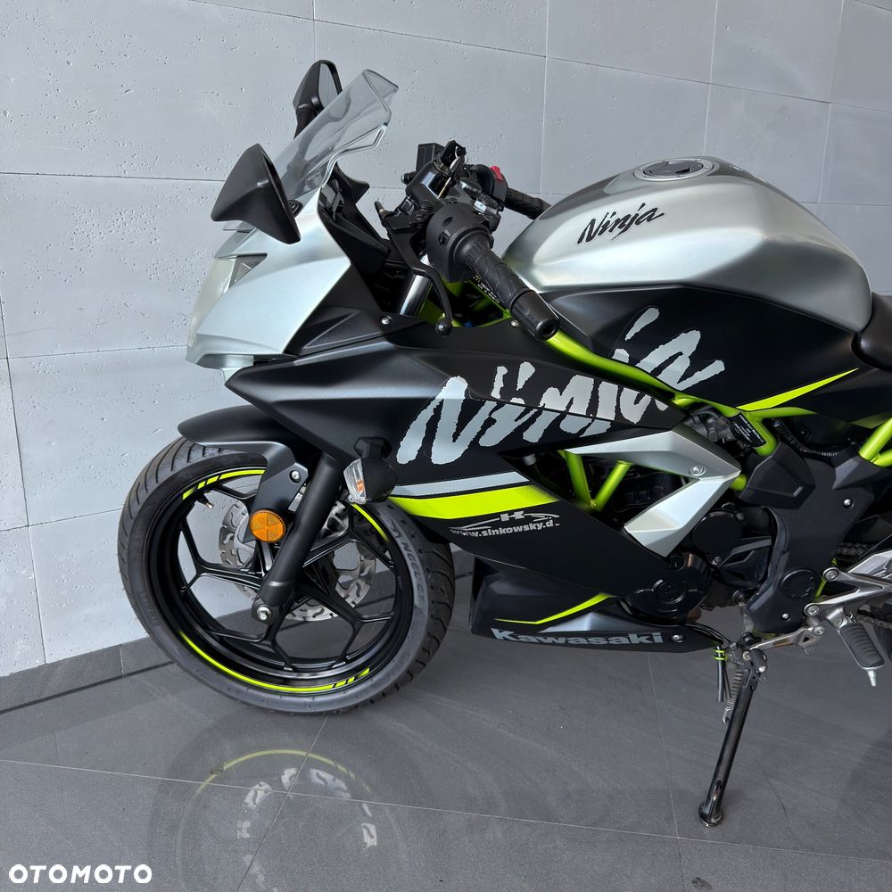 Kawasaki Ninja - 10