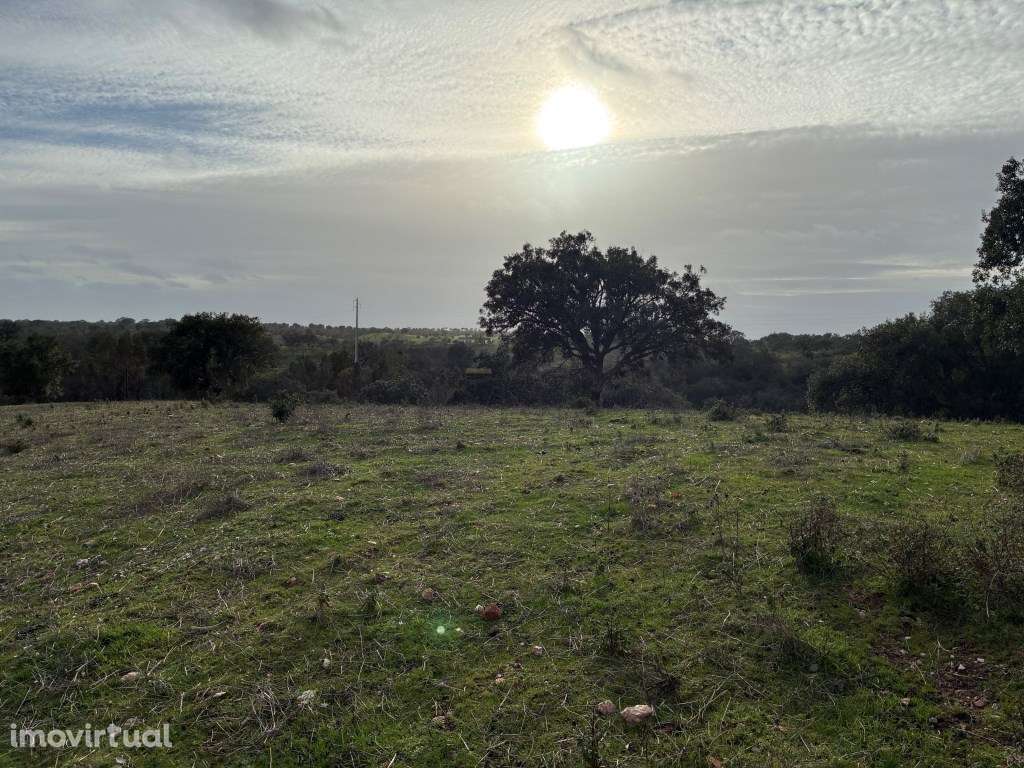 Quinta com ribeiro em Vila Nova de S. Bento no Alentejo ... - Grande imagem: 2/41