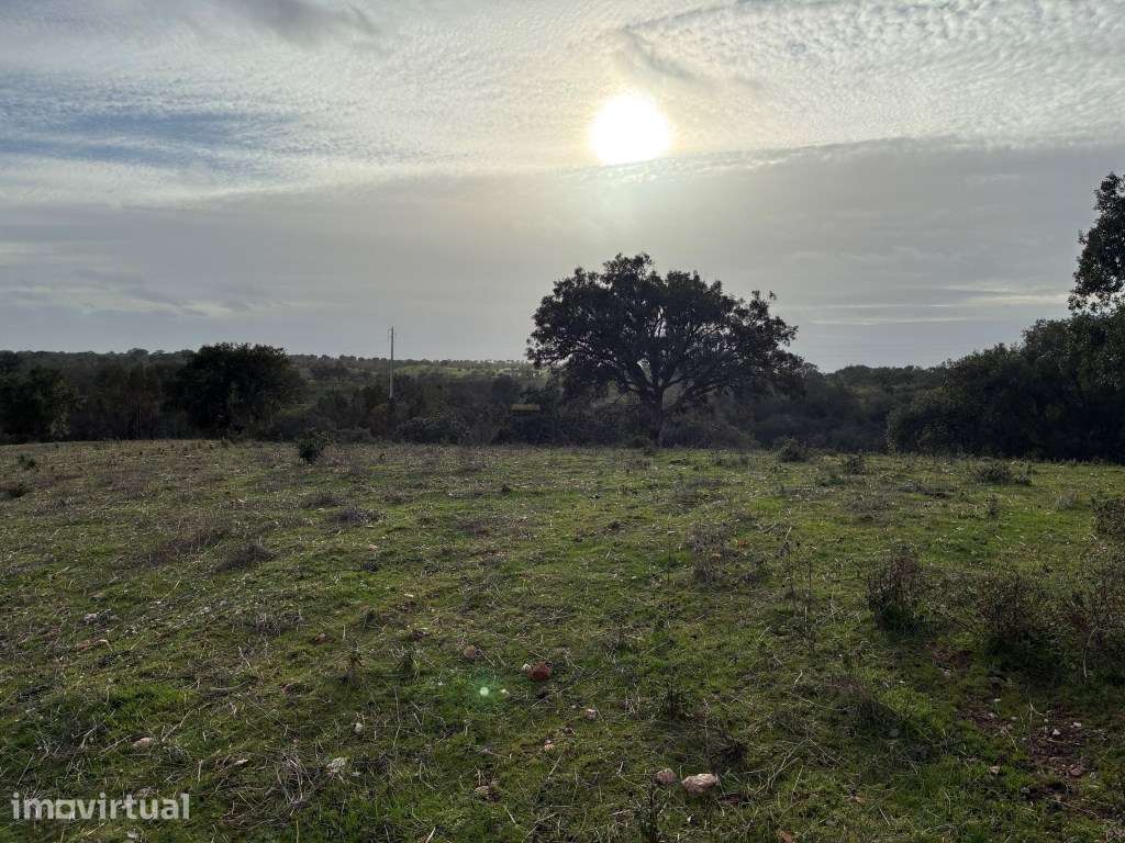 Quinta com ribeiro em Vila Nova de S. Bento no Alentejo ... - Grande imagem: 2/41